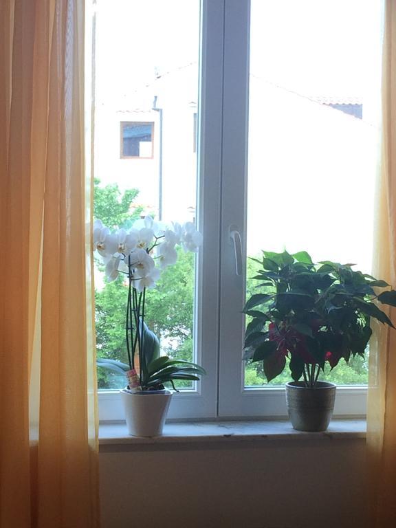 Apartman Snjezana マリンスカ エクステリア 写真
